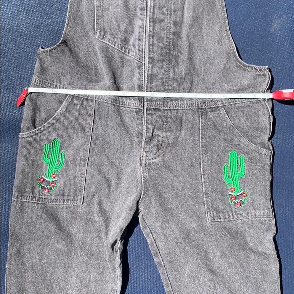 Cactus Patch Overalls - image 7
